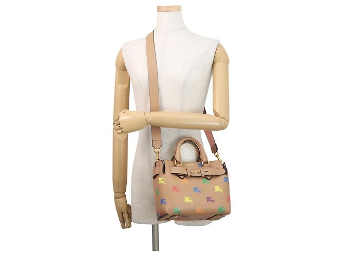 Borsa a mano in pelle Burberry Marrone Multicolore - vista 5