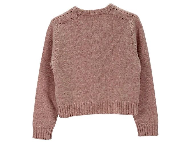 Jersey de lana rosa Céline Multicolor - vista 2