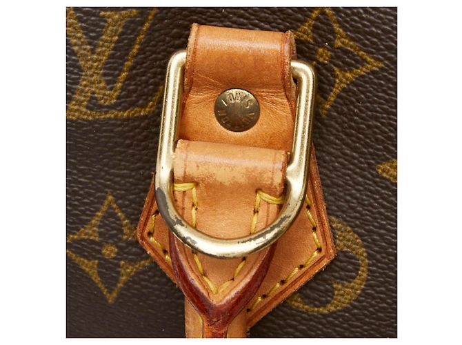 Sac à main Louis Vuitton Monogram Alma PM Marron - vue 8