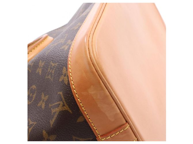 Bolsa Louis Vuitton Alma PM Marrom - vista 9
