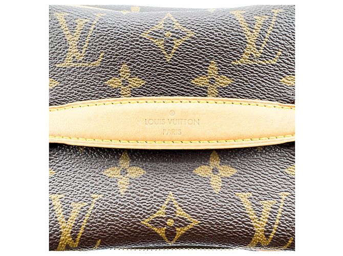 Louis Vuitton Nice Vanity Case Monogram Canvas Mini Castaño - vista 7