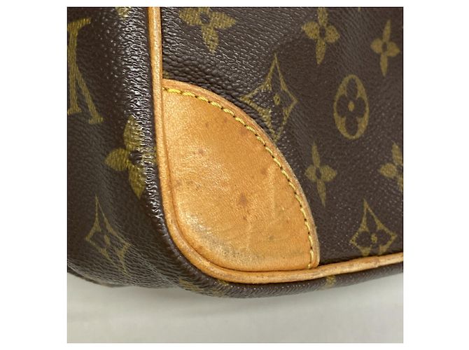 Louis Vuitton Monogram Amazon Schultertasche Braun - Ansicht 6