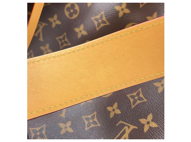 Bolso de hombro Louis Vuitton Monogram Carryall NM MM M46197 Burdeos Monograma - vista 13