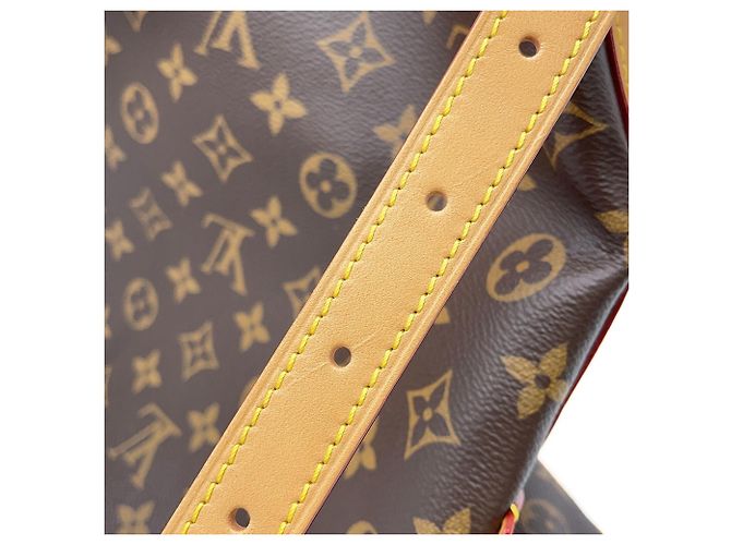 Bolso de hombro Louis Vuitton Monogram Carryall NM MM M46197 Burdeos Monograma - vista 14