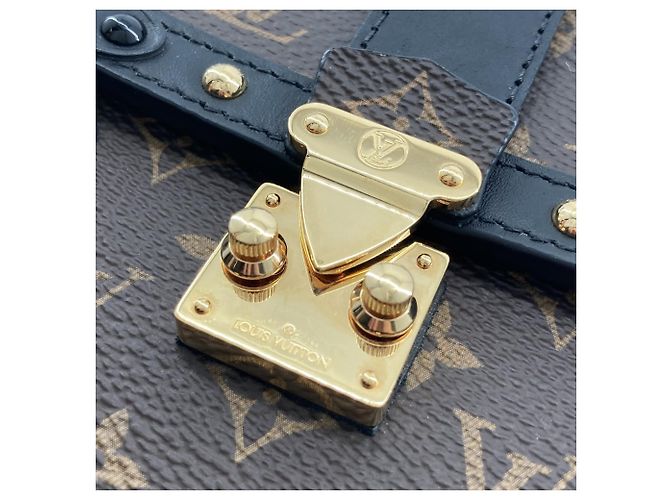 Louis Vuitton Brown Monogram Pochette Trunk Verticale Castaño - vista 13