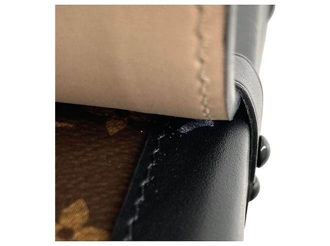 Louis Vuitton Brown Monogram Pochette Trunk Verticale Castaño - vista 14