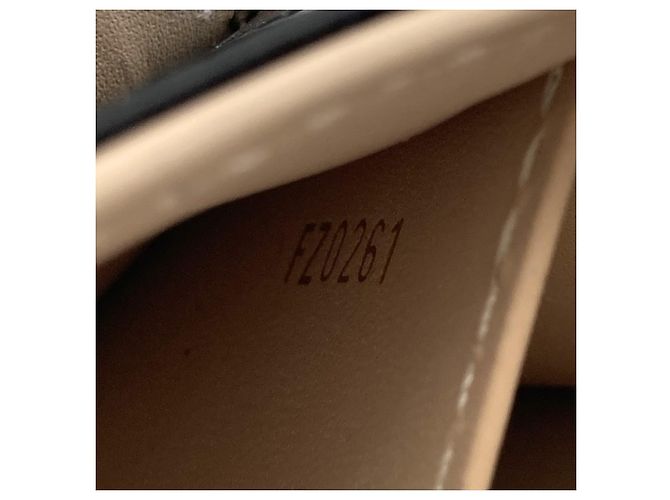 Louis Vuitton Brown Monogram Pochette Trunk Verticale Castaño - vista 5