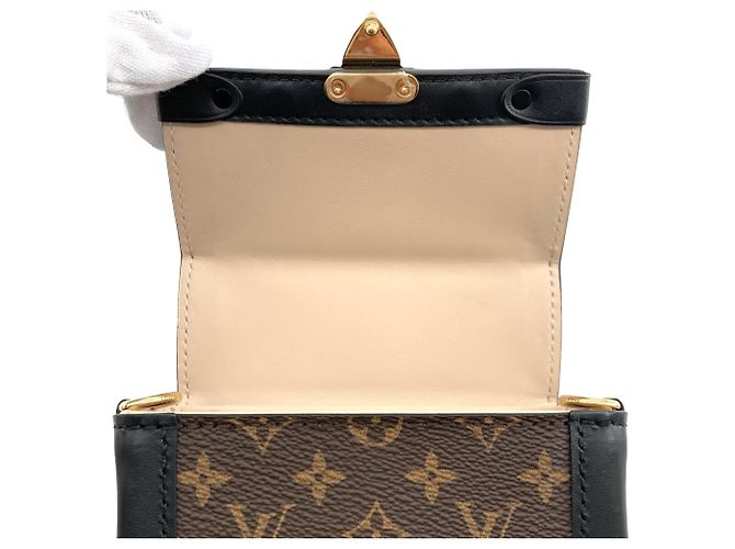 Louis Vuitton Brown Monogram Pochette Trunk Verticale Castaño - vista 6