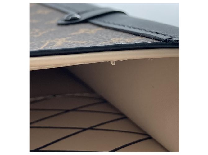 Louis Vuitton Brown Monogram Pochette Trunk Verticale Castaño - vista 8