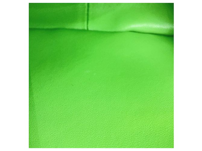 Triomphe Céline Borsa a tracolla Celine in pelle verde chiaro - vista 11