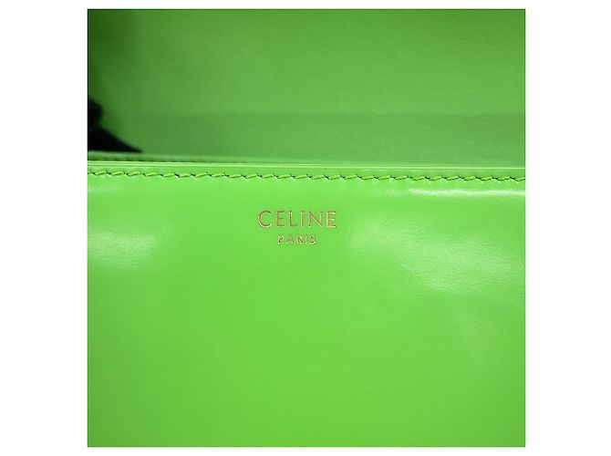 Triomphe Céline Borsa a tracolla Celine in pelle verde chiaro - vista 15