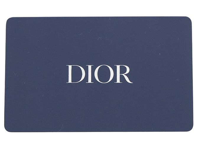 Sac Tote Christian Dior Édition Limitée Marron Bleu clair - vue 10