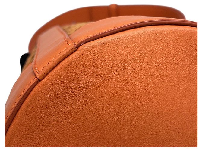Bvlgari Bulgari Serpenti Forever Bucket Bag Arancione - vista 10