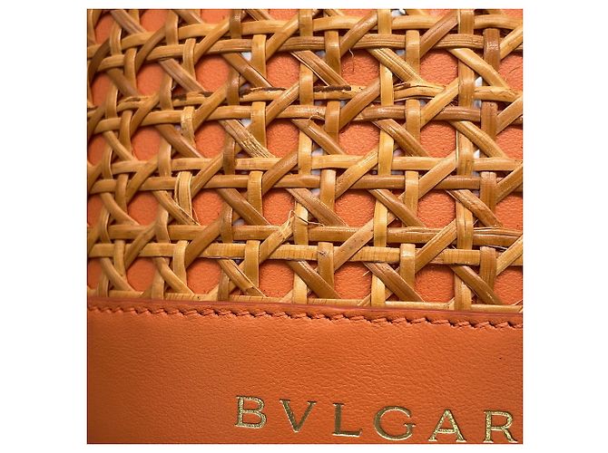 Bvlgari Bulgari Serpenti Forever Bucket Bag Arancione - vista 12