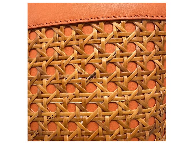 Bvlgari Bulgari Serpenti Forever Bucket Bag Arancione - vista 7
