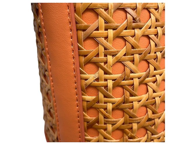 Bvlgari Bulgari Serpenti Forever Bucket Bag Arancione - vista 8