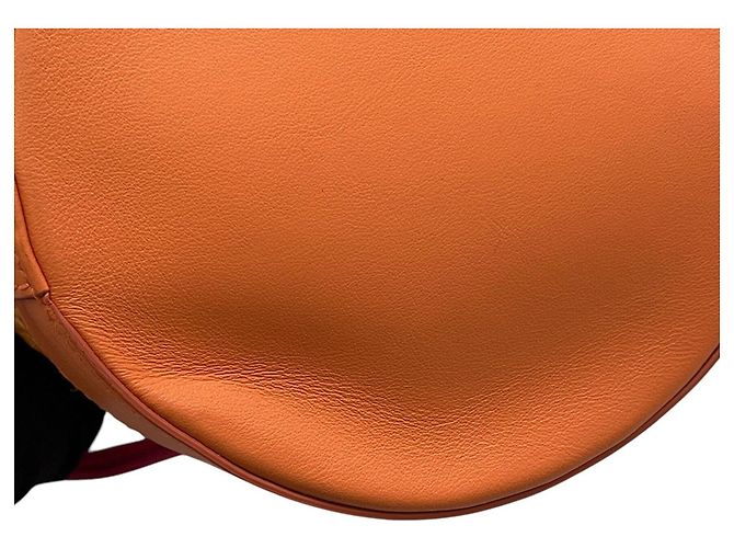 Bvlgari Bulgari Serpenti Forever Bucket Bag Arancione - vista 9