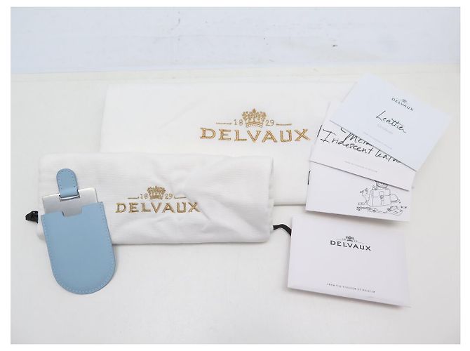NUOVA BORSA A MANO DELVAUX BRILLANT MINI BLOOMING CRYSTALLINE BORSA A TRACCOLLA Crudo - vista 11