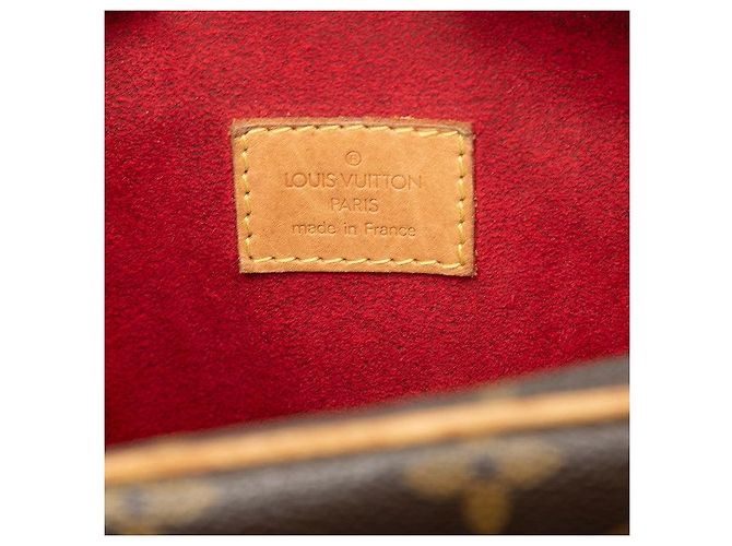 Bolso Louis Vuitton Monogram Exantry Cite M51161 Castaño - vista 6
