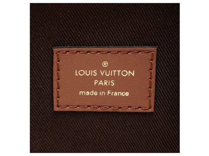Louis Vuitton Monogram Canvas Loop Hobo Marrone - vista 7