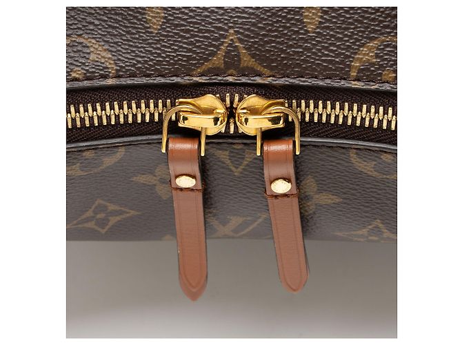 Louis Vuitton Monogram Canvas Loop Hobo Marrone - vista 8