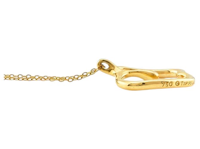 Autre Marque Collana Mela Tiffany & Co. in Oro Giallo 18K D'oro - vista 4