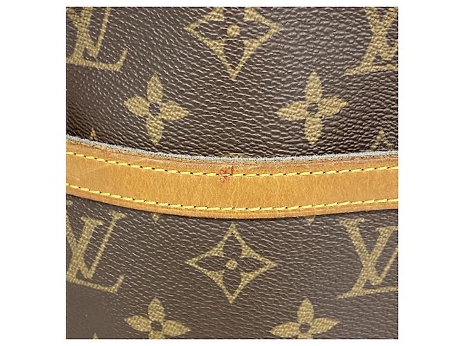 Bolso de hombro Louis Vuitton Monogram Danube Castaño - vista 9