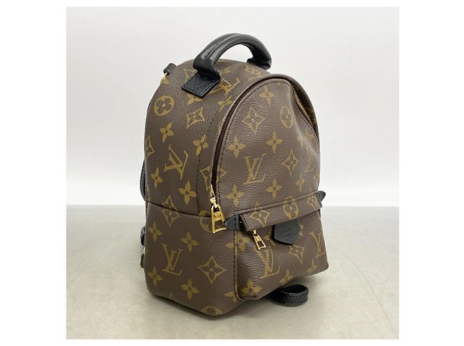 Mochila MINI Palm Springs Monogram Louis Vuitton Castaño - vista 2