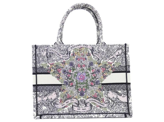 Christian Dior DIOR AROUND THE WORLD Book Tote Multicolore - vista 2