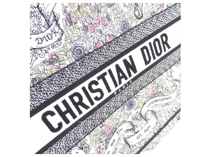 Christian Dior DIOR AROUND THE WORLD Book Tote Multicolore - vista 5