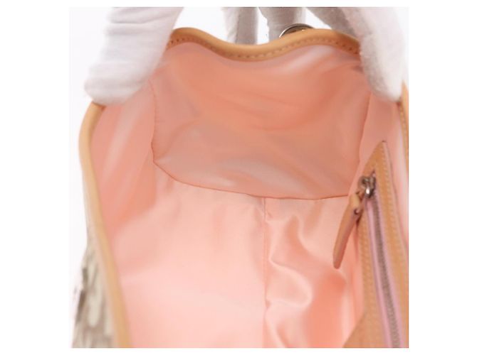 Sac Christian Dior Trotter Canvas Romantic Chain Bag PVC Ivory Silver Auth 206260SAM Argenté Écru - vue 27