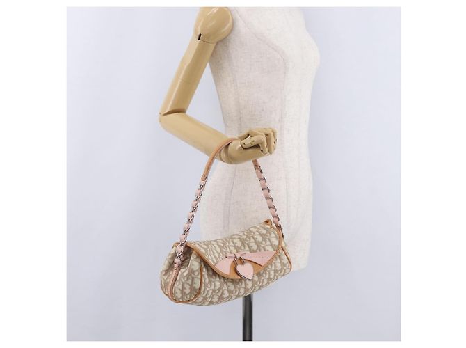 Sac Christian Dior Trotter Canvas Romantic Chain Bag PVC Ivory Silver Auth 206260SAM Argenté Écru - vue 31