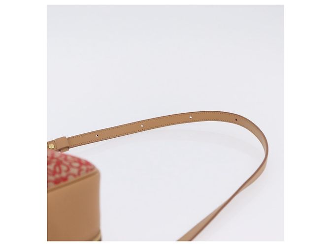 Borsa a mano LOEWE Amazona 28 Canvas 2way Beige Gold Auth 203608SAM D'oro - vista 16