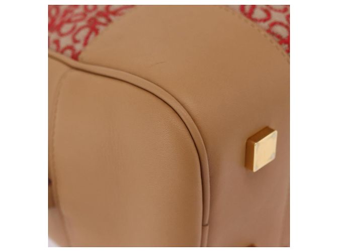 Borsa a mano LOEWE Amazona 28 Canvas 2way Beige Gold Auth 203608SAM D'oro - vista 19