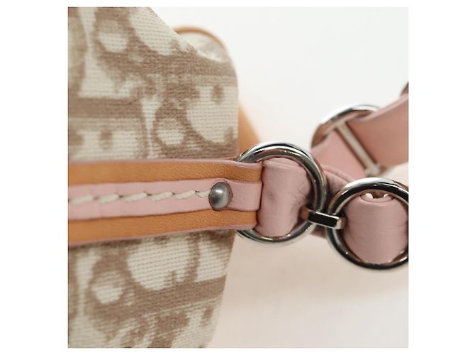 Borsa Christian Dior Trotter Canvas Romantic Chain Bag PVC Beige Argento Auth 202506SAM - vista 12