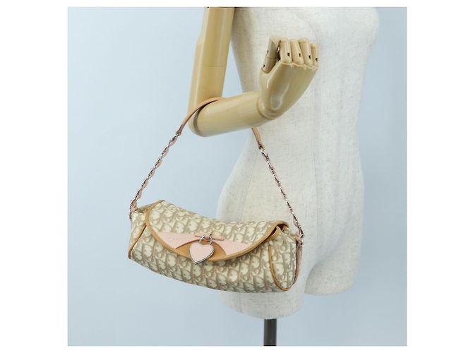 Borsa Christian Dior Trotter Canvas Romantic Chain Bag PVC Beige Argento Auth 202506SAM - vista 29