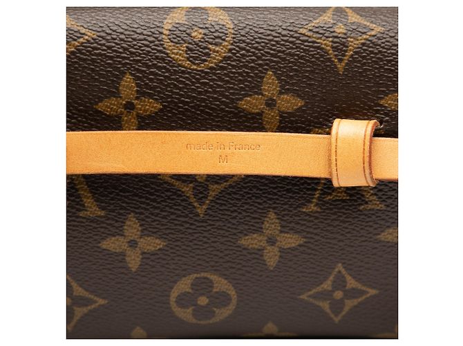 Bolso cinturón Louis Vuitton Monogram Pochette Florentine Marrón Castaño - vista 7
