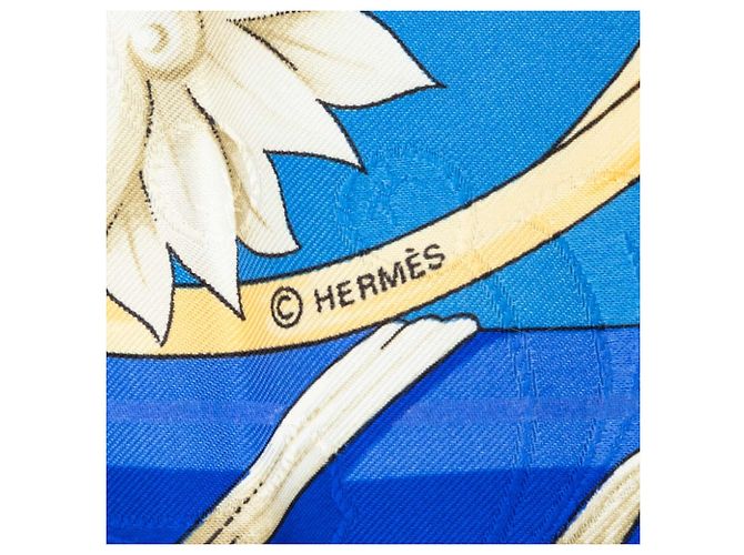 Foulard di seta Hermès Daimyo Blu 90 Scarves - vista 4