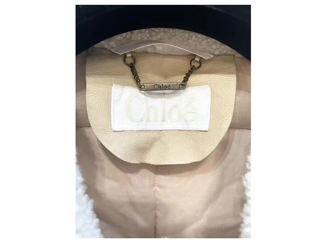 Chloé Shearling Mantel Grau Mehrfarben - Ansicht 5