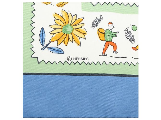 Pañuelo de seda Hermès Retour A La Terre Azul 90 - vista 5