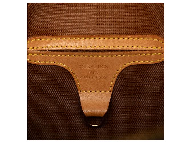 Bolso Louis Vuitton Monogram Ellipse PM Marrón Castaño - vista 5