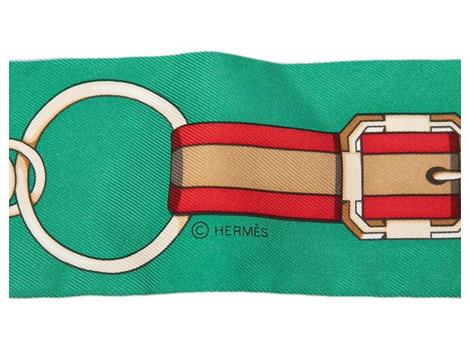 Hermès Pañuelo Twilly Grand Tralala Hermes Multicolor Verde - vista 3