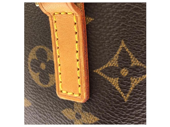 Borsa Louis Vuitton Monogram Vavin PM Marrone - vista 4