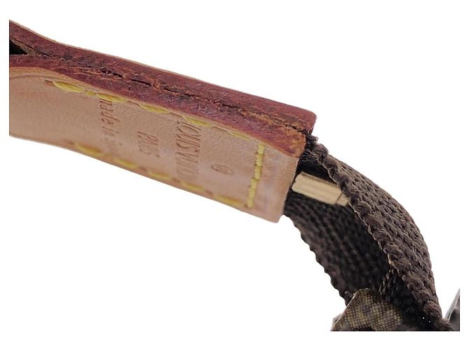Pochette Accesorios Monograma Louis Vuitton Castaño - vista 6