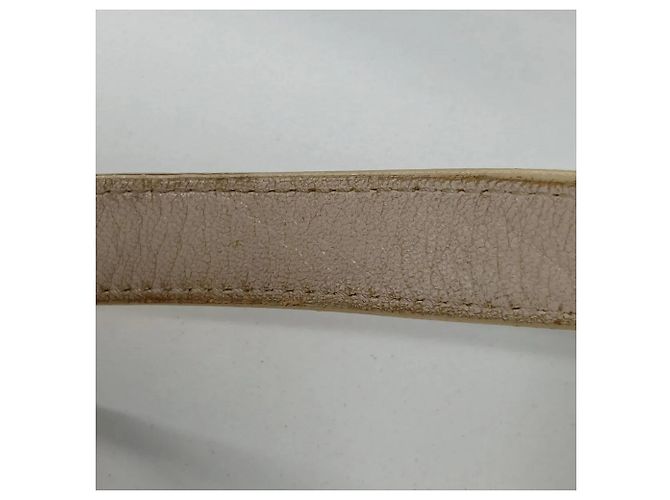 Borsa Tote/Borsa a Tracolla Chanel Camellia in pelle Beige - vista 13