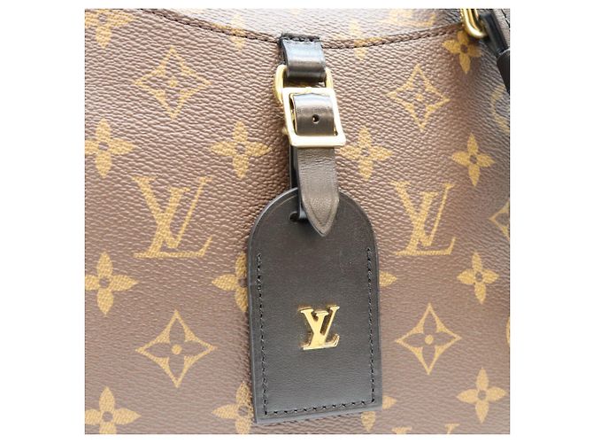 Borsa a tracolla Louis Vuitton Monogram Noir Odeon NM PM Marrone - vista 6