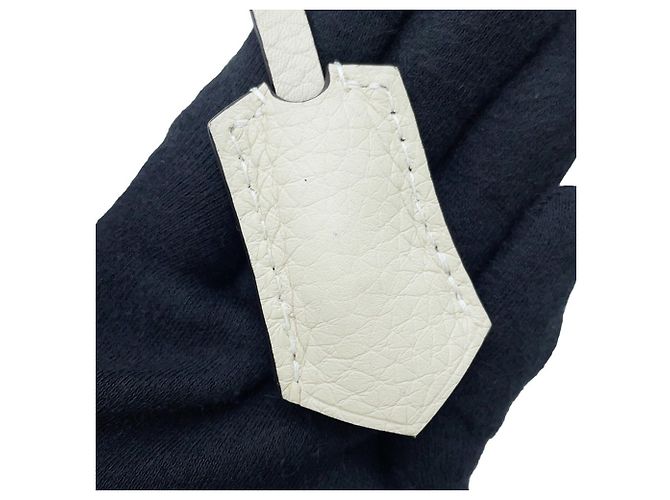 Borsa Louis Vuitton Parnasséa Alma PPM - vista 18