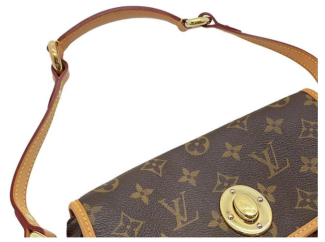 Bolso Louis Vuitton Monogram Tikal PM Castaño - vista 11