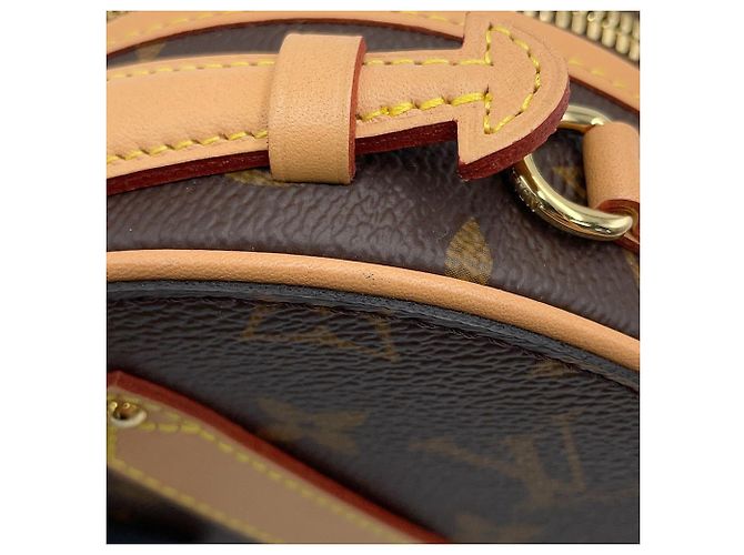 Bolso Louis Vuitton Monogram Mini Boite Chapeau Castaño Beige - vista 6