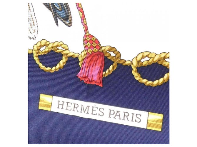 Silk In Hermès Carré Hermes LES OISEAUX DU ROY Bianco Blu - vista 2